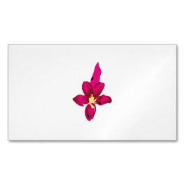 Cartão De Visitas Magnético Cartão de visita Magnet