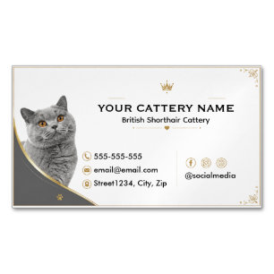 Cartão De Visitas Magnético Cattery Moderno e Elegante de British Shorthair