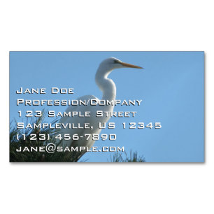 Cartão De Visitas Magnético Excelente Egret em Sunny Florida