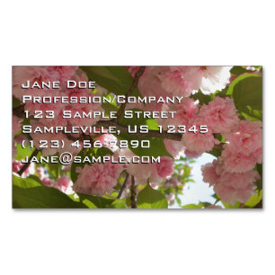 Cartão De Visitas Magnético Floral Primavera da Árvore III da Cherry com duas