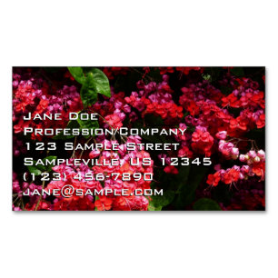 Cartão De Visitas Magnético Flores de Pagode Coloridas de Vermelho e Rosa