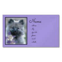 Keeshond e Columbine - Fotografia de Cães