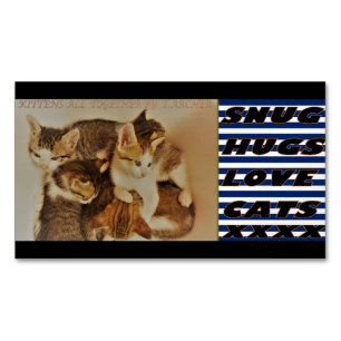 Cartão De Visitas Magnético Kittens no original da imagem   
