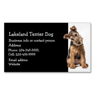 Cartão De Visitas Magnético Lakeland Terrier Dog Breeder Pet Sitter