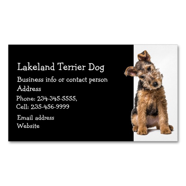 Cartão De Visitas Magnético Lakeland Terrier Dog Breeder Pet Sitter (Frente)