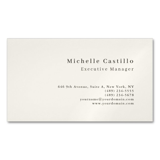 Cartão De Visitas Magnético Minimalista Moderno Profissional (Frente)