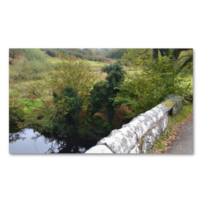 Cartão De Visitas Magnético nature way of impersonating animals (Frente)