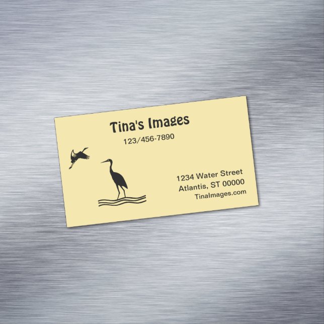 Cartão De Visitas Magnético Ônibus. Placa (mag) - Pássaros de costa (Posição Original)