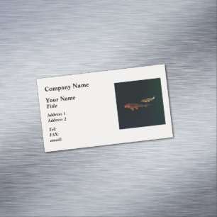 Cartão De Visitas Magnético Orange Koi e Dourado Koi