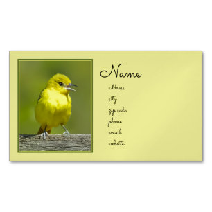 Cartão De Visitas Magnético Orchard Oriole - Fotografia original