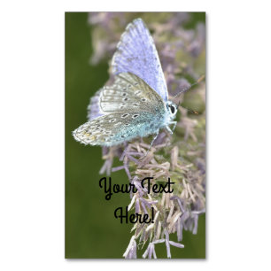 Cartão De Visitas Magnético Pequena beleza