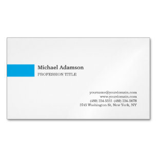 Cartão De Visitas Magnético Perfil Minimalista Simples Elegante