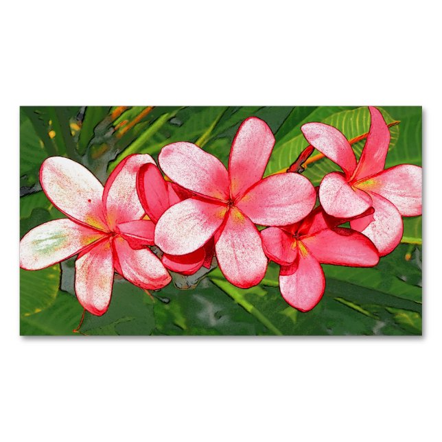 Cartão De Visitas Magnético Plumeria (Frente)