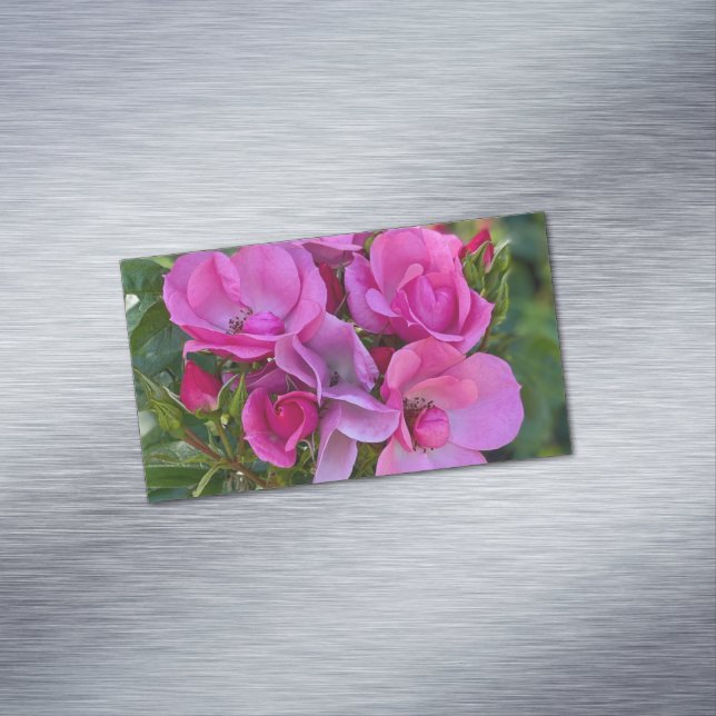 Cartão De Visitas Magnético Rosa Rosa Rosa lavanda (Posição Original)