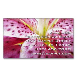 Cartão De Visitas Magnético Stargazer Lily Bright Magenta Floral