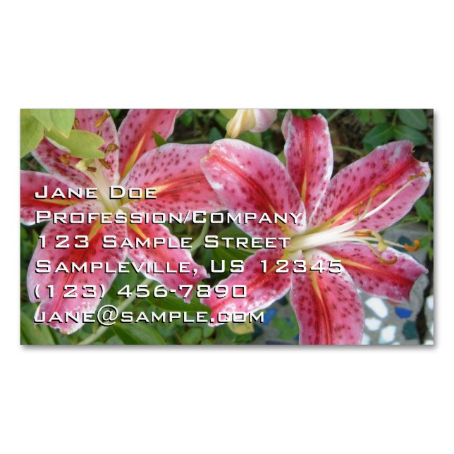 Cartão De Visitas Magnético Stargazer Lily Garden Floral (Frente)