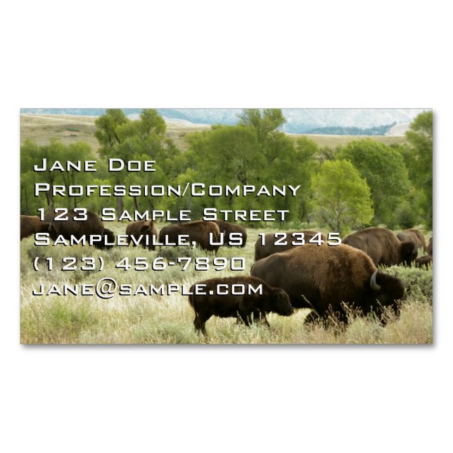 Cartão De Visitas Magnético Wyoming Bison Nature (Frente)