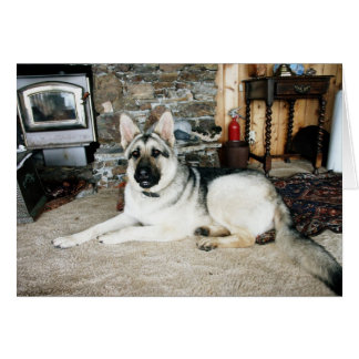 Cartão De vista completa australiano/lareira