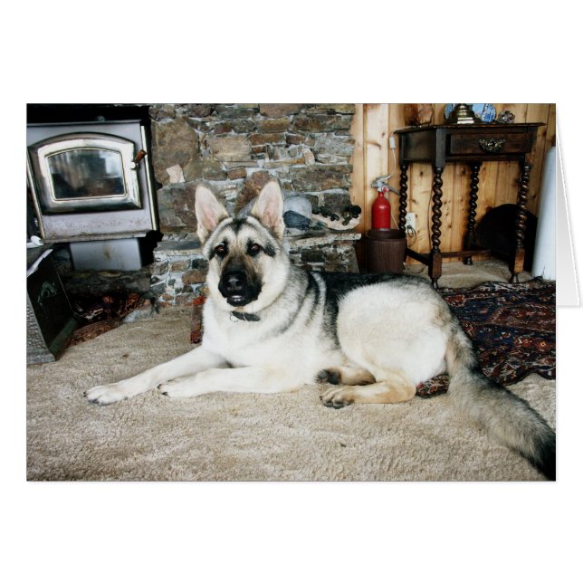 Cartão De vista completa australiano/lareira (Frente Horizontal)