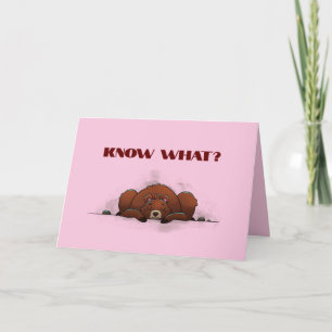 CARTÃO DE VOCÊ PERDIDA INPORTÁVEL