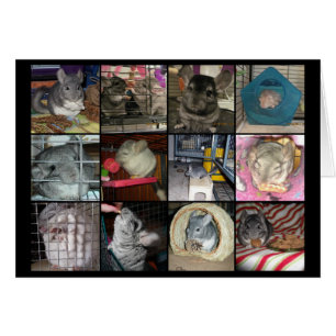 Cartão de Wunderchins 2012