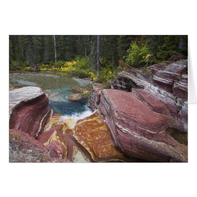 Cartão Deadwood Falls em Reynolds Creek no outono (Frente Horizontal)