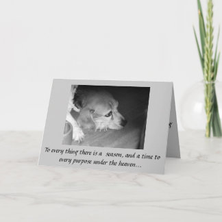 Cartão Death of Pet Sympathy Card