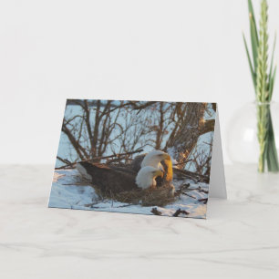 Cartão Decorah Nest North Christmas Card