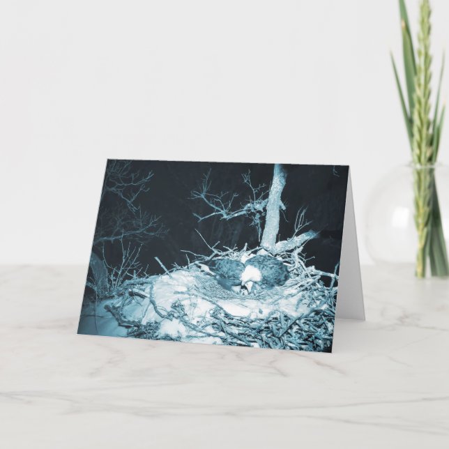 Cartão Decorah North Eagles: A Lua da Neve (Frente)