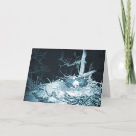 Cartão Decorah North Eagles: A Lua da Neve