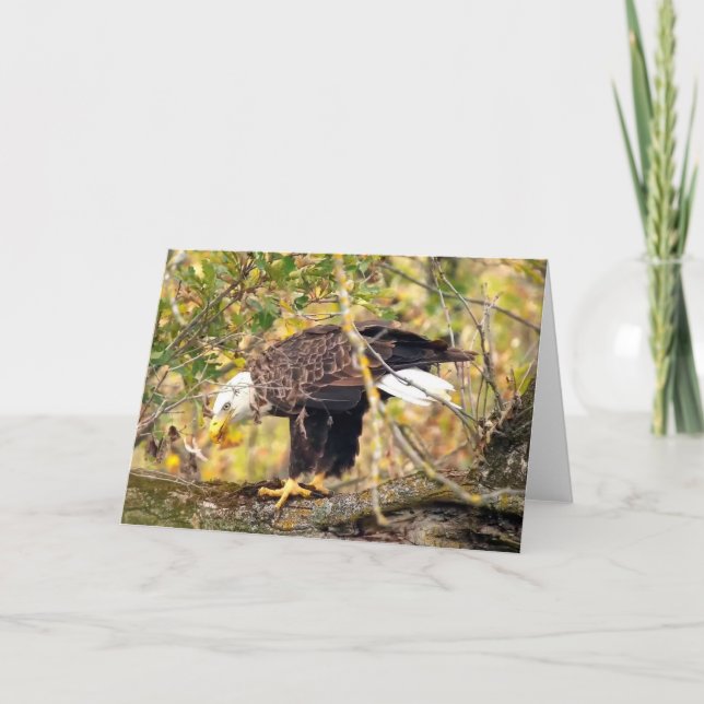 Cartão Decorah North Eagles: A Lua de Colheita (Frente)