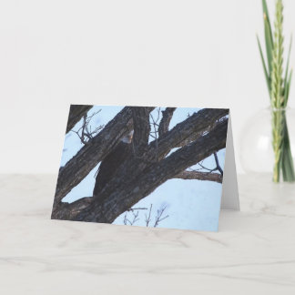 Cartão Decorah North Eagles: A Lua do Lobo