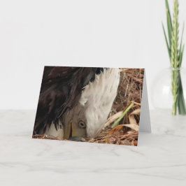 Cartão Decorah North Eagles: A Lua do Verme