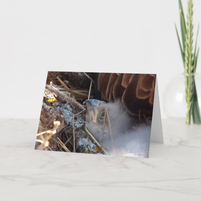 Cartão Decorah North Eagles: A Lua Rosa (Frente)