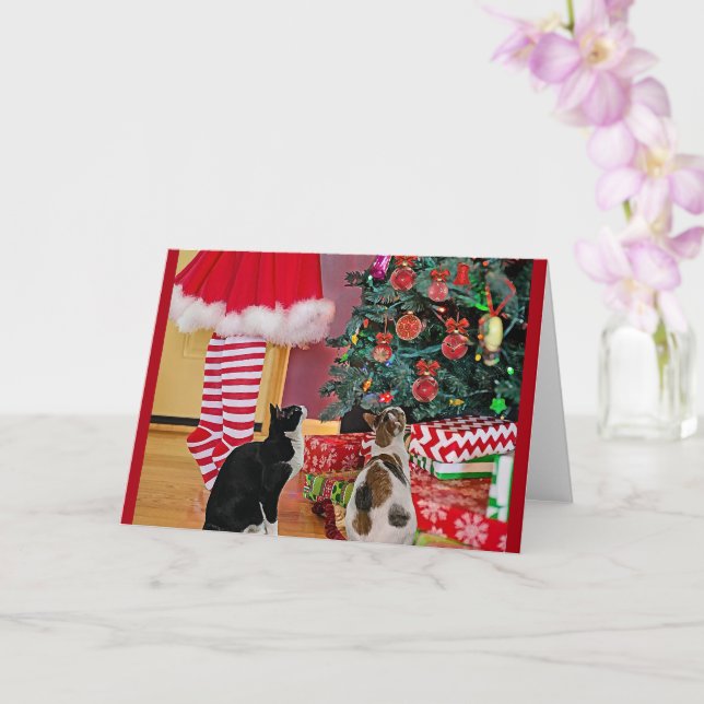 Cartão Decorando a Árvore (Orquídea)