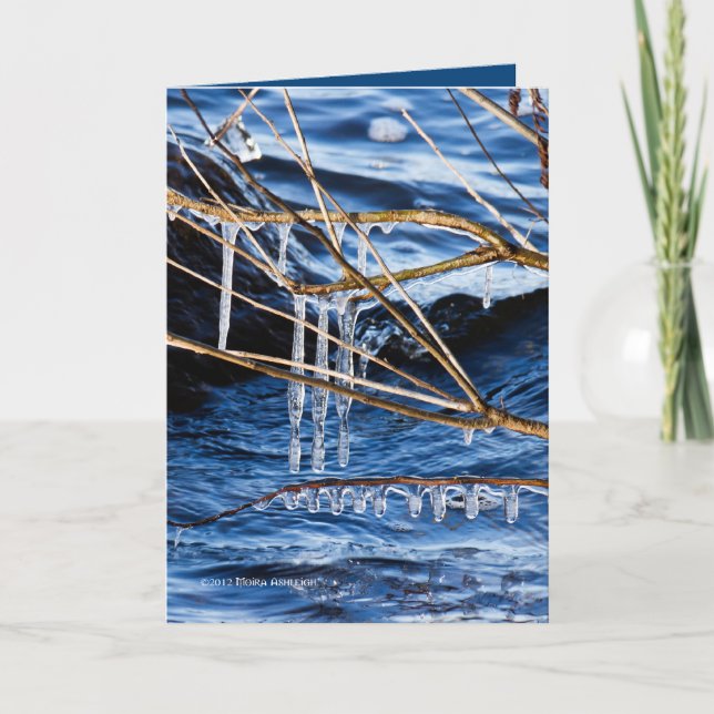 Cartão Dedos a frio (Frente)