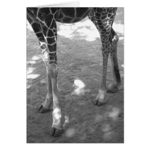 Cartão dedos do pé da cintilação