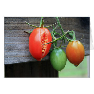 Cartão Dedos do pé de Tommy