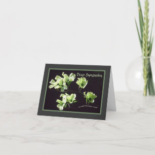 Cartão Deep Sympathy Card Dogwood Blooms