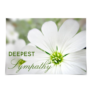 Cartão "Deepest Sympathy" Floral de Neve no Verão