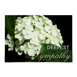 Cartão "Deepest Sympathy" White Hydrangea Card