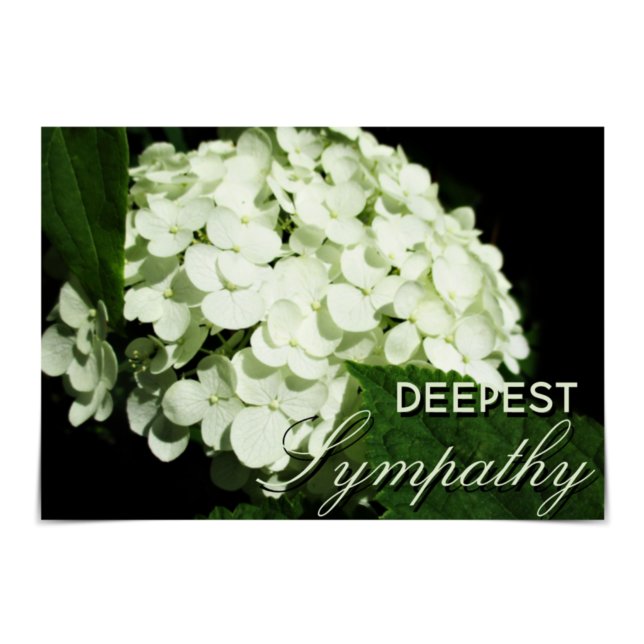 Cartão "Deepest Sympathy" White Hydrangea Card (Criador carregado)