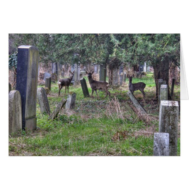 Cartão Deer At Zentralfriedhof (Frente Horizontal)