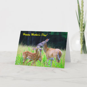Cartão Deer Fawns Nursing, Feliz Dia de as mães!