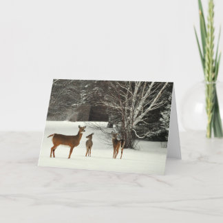Cartão Deer in Snow Greeting Card
