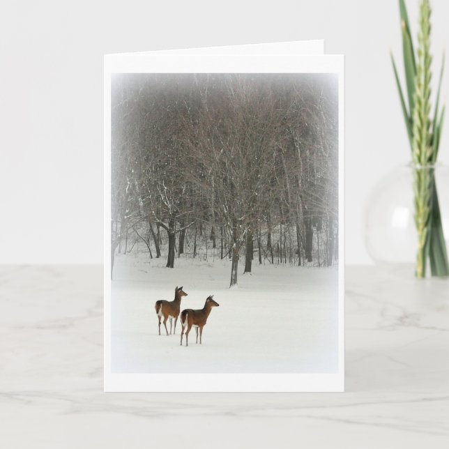 Cartão Deer in Woods in Snow Greeting Card (Frente)