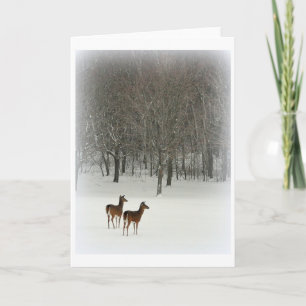Cartão Deer in Woods in Snow Greeting Card