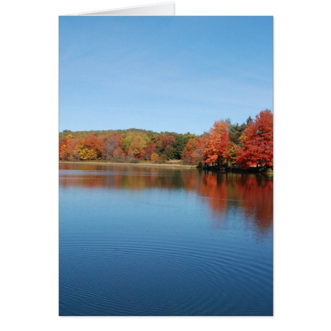 Cartão Deer Lake (Frente)