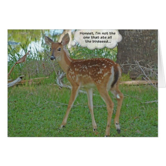 Cartão Deer pensando em sementes de aves (Frente horizontal)