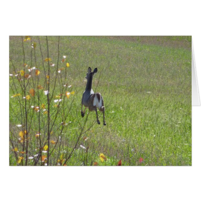 Cartão Deer saltando (Frente Horizontal)